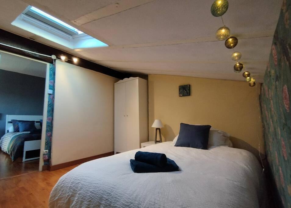 La Casa Del Cielo Leilighet Toulouse Eksteriør bilde